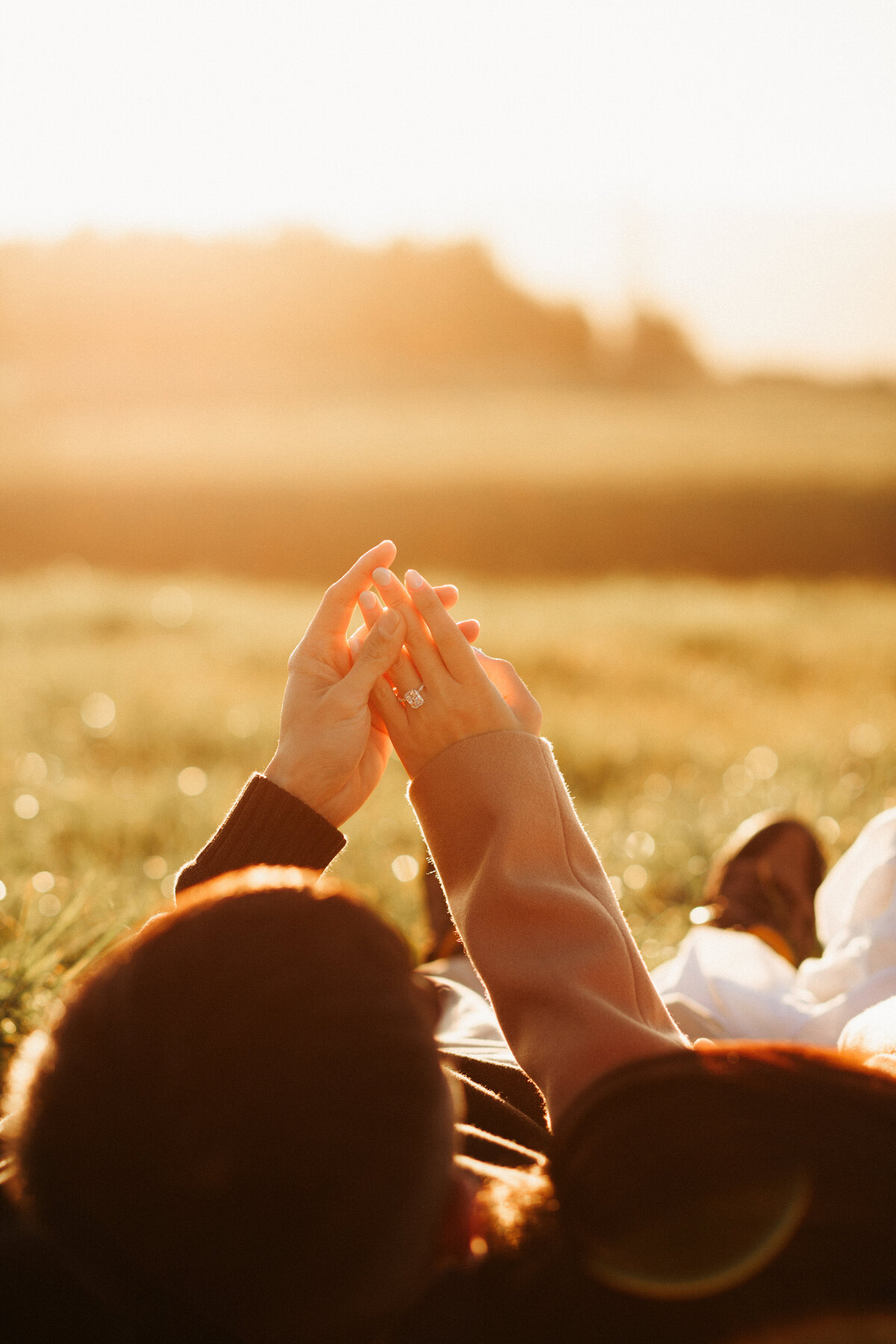 Christchurch proposal photographer