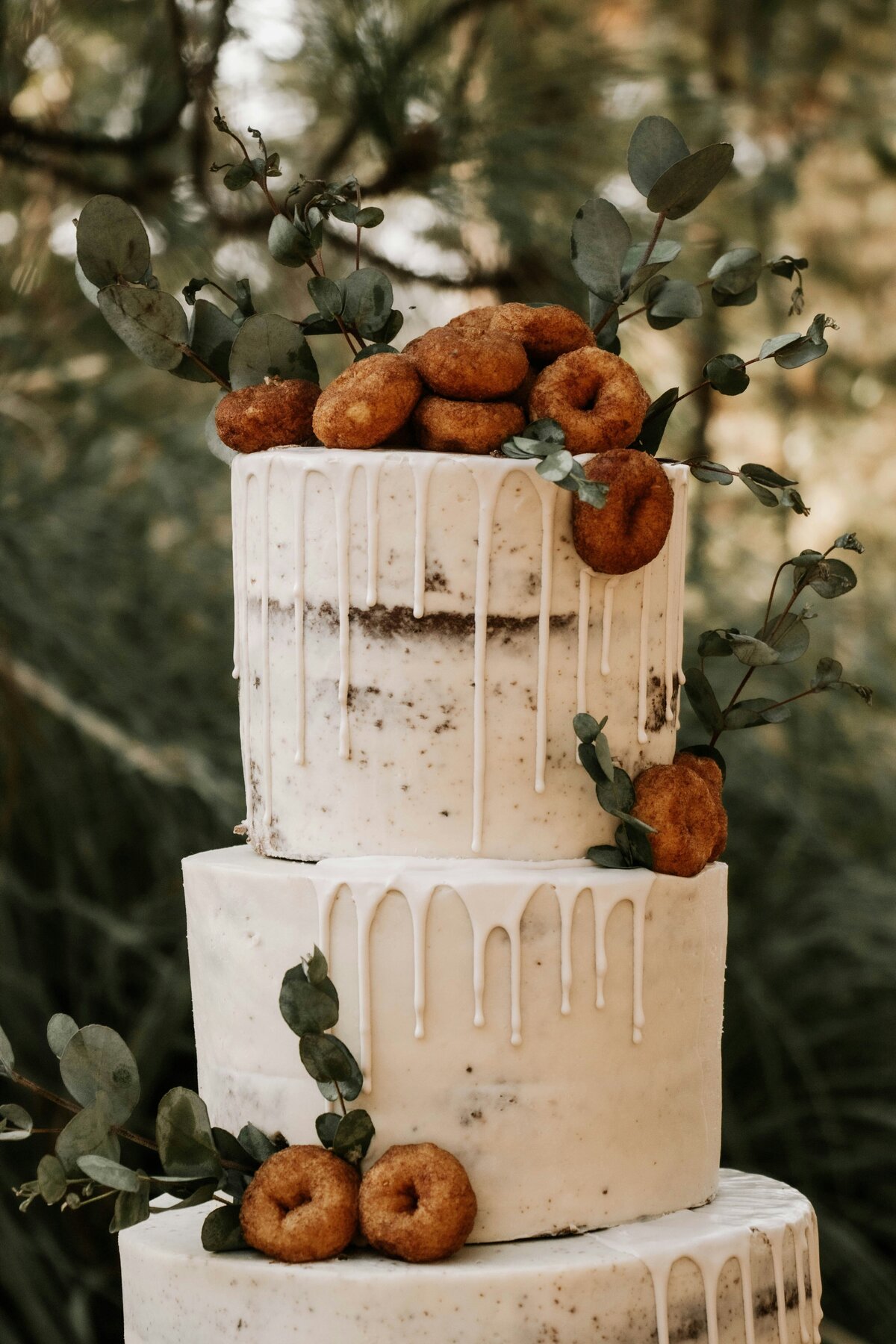 vanessa-_IumebR8oyc-unsplash