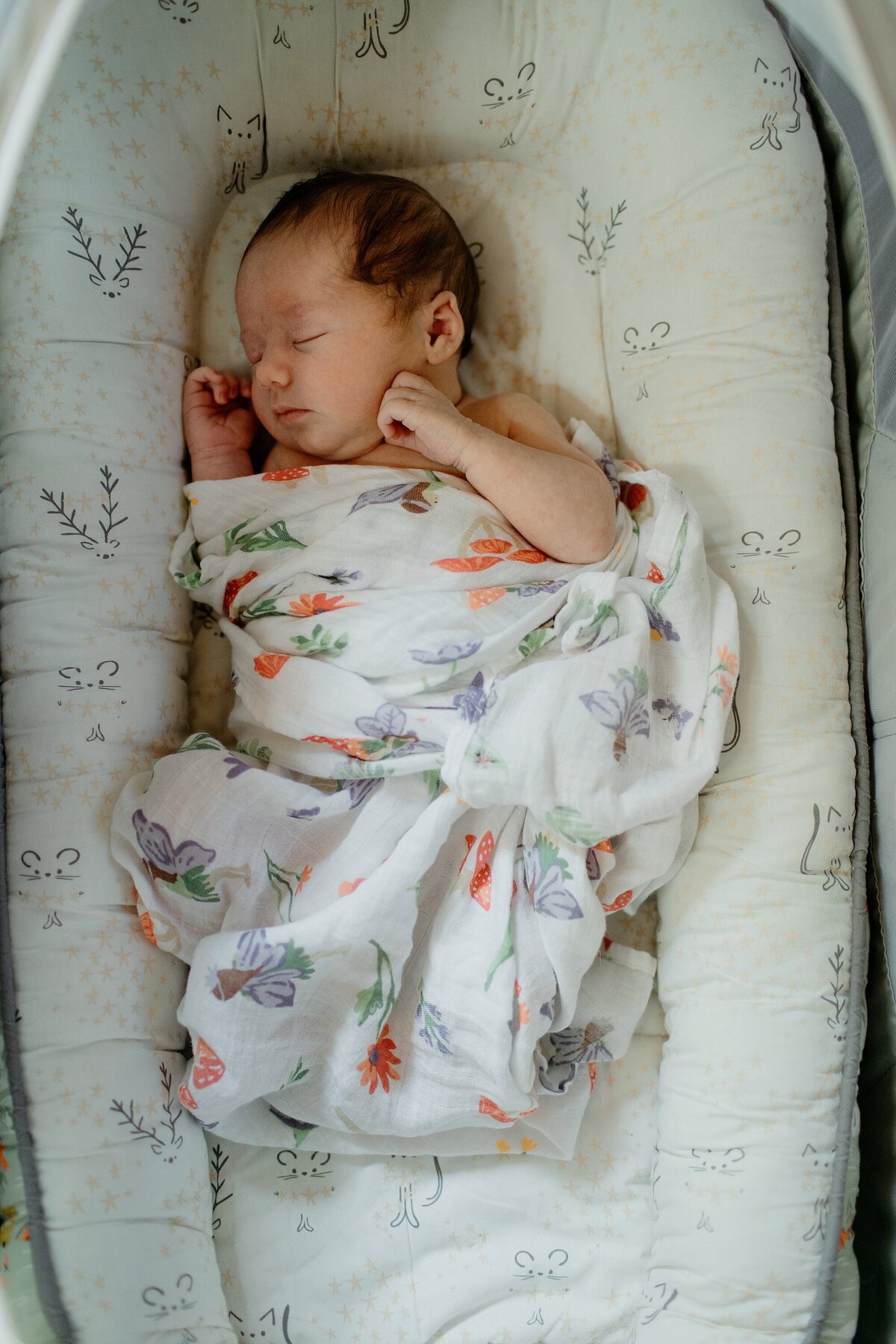destinee_blau_asheville_family_photographer_photography_newborn_0269