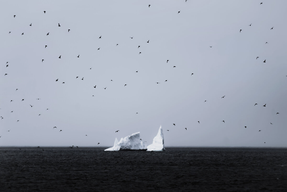 110_iceberg_helloemilie