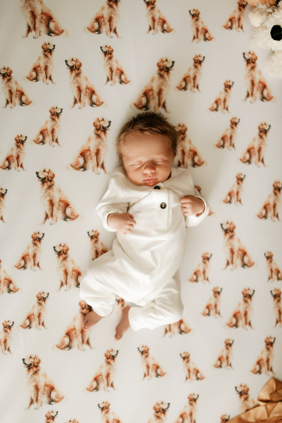 annieharperphotography-HNnewborn-10