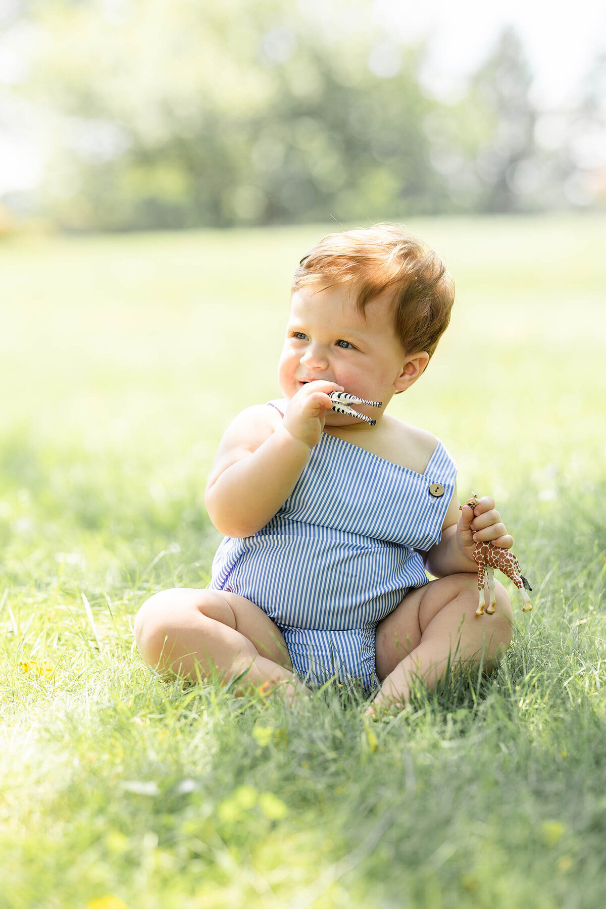 baby-first-birthday-cake-smash-photo-session-connecticut1