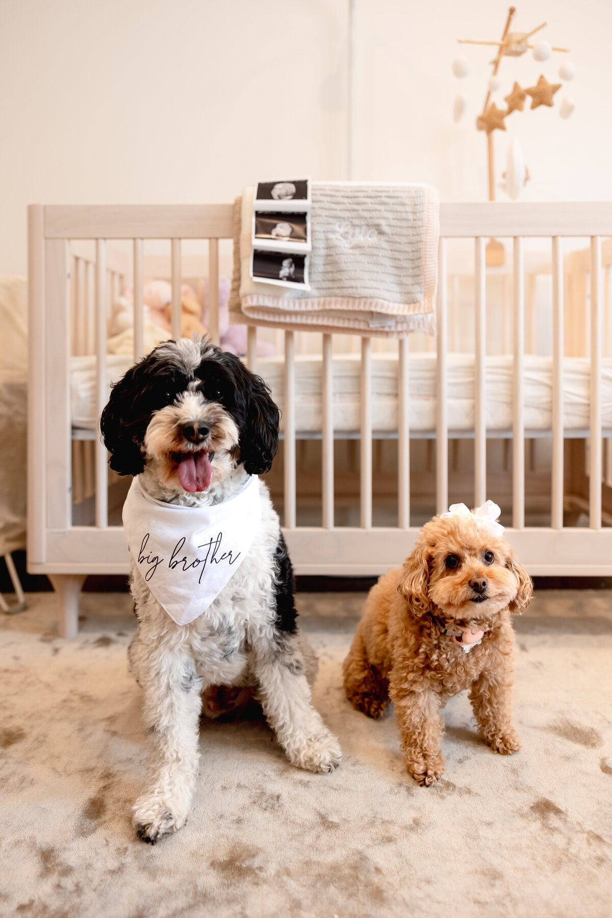 SNEAKPEEKSLmaternity-39