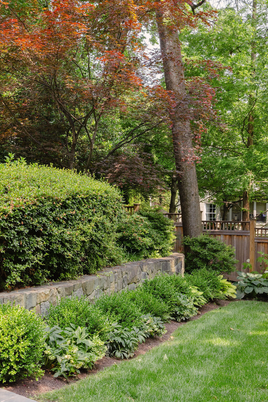 perennial border planting washington dc 9
