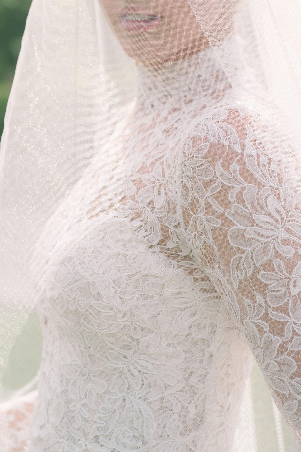 lowres (64)