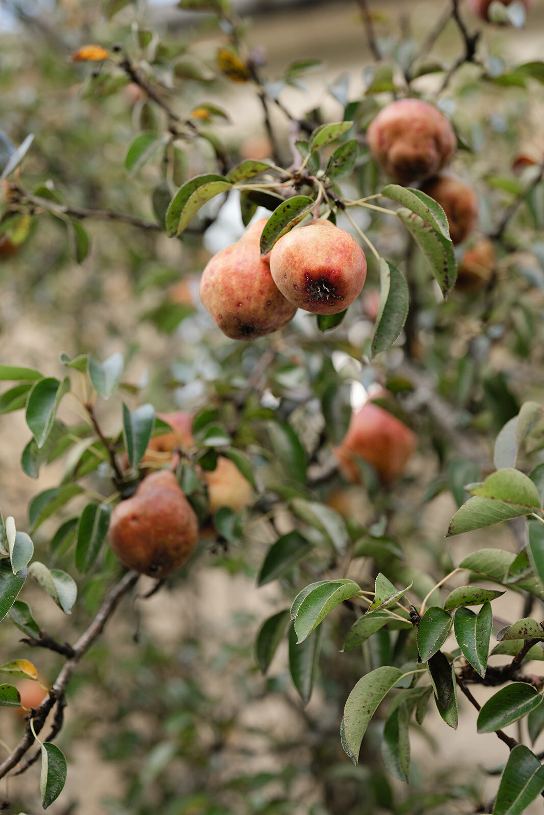 DSC_6846_websize