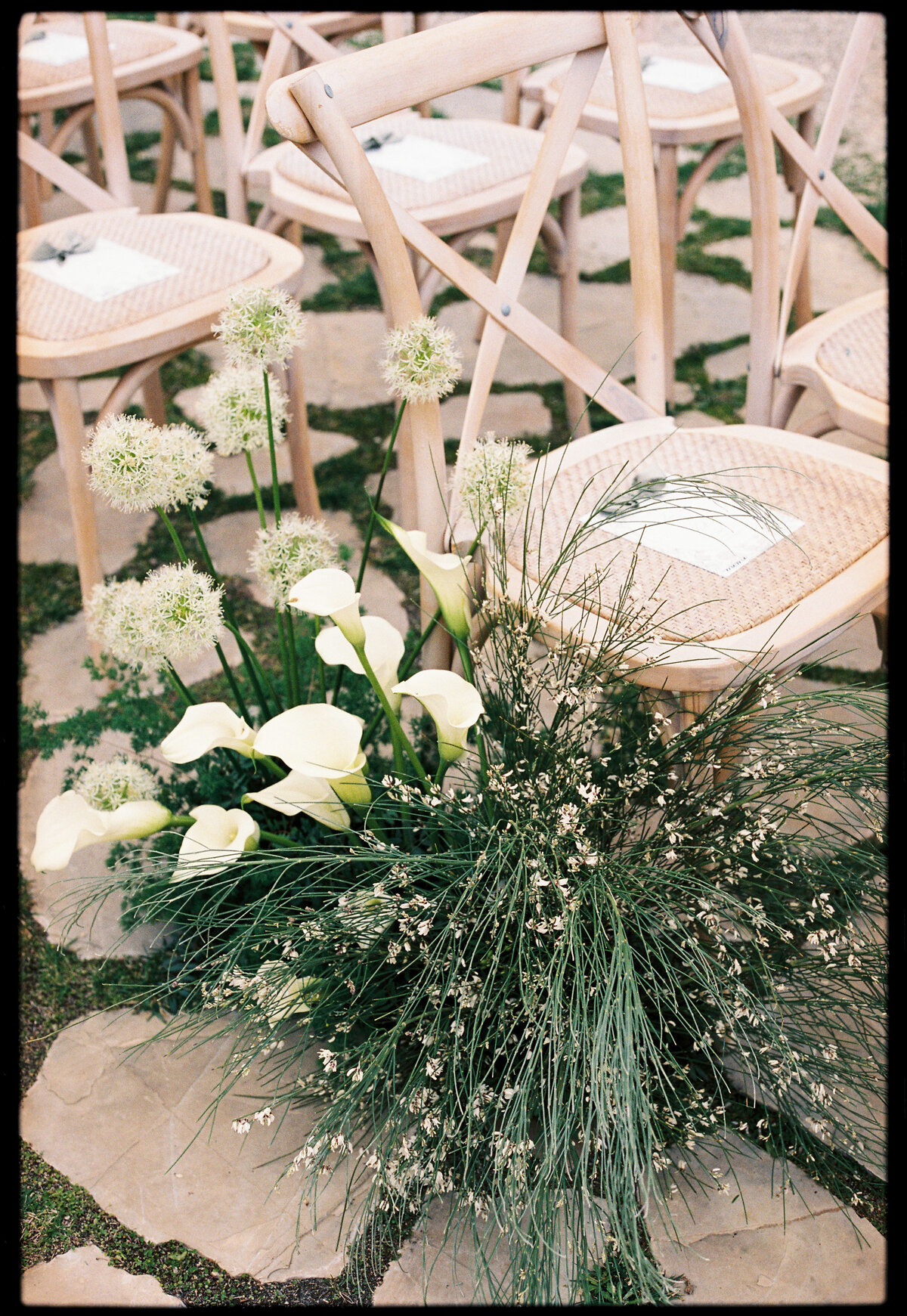 Masia-Cabellut-L-P-120