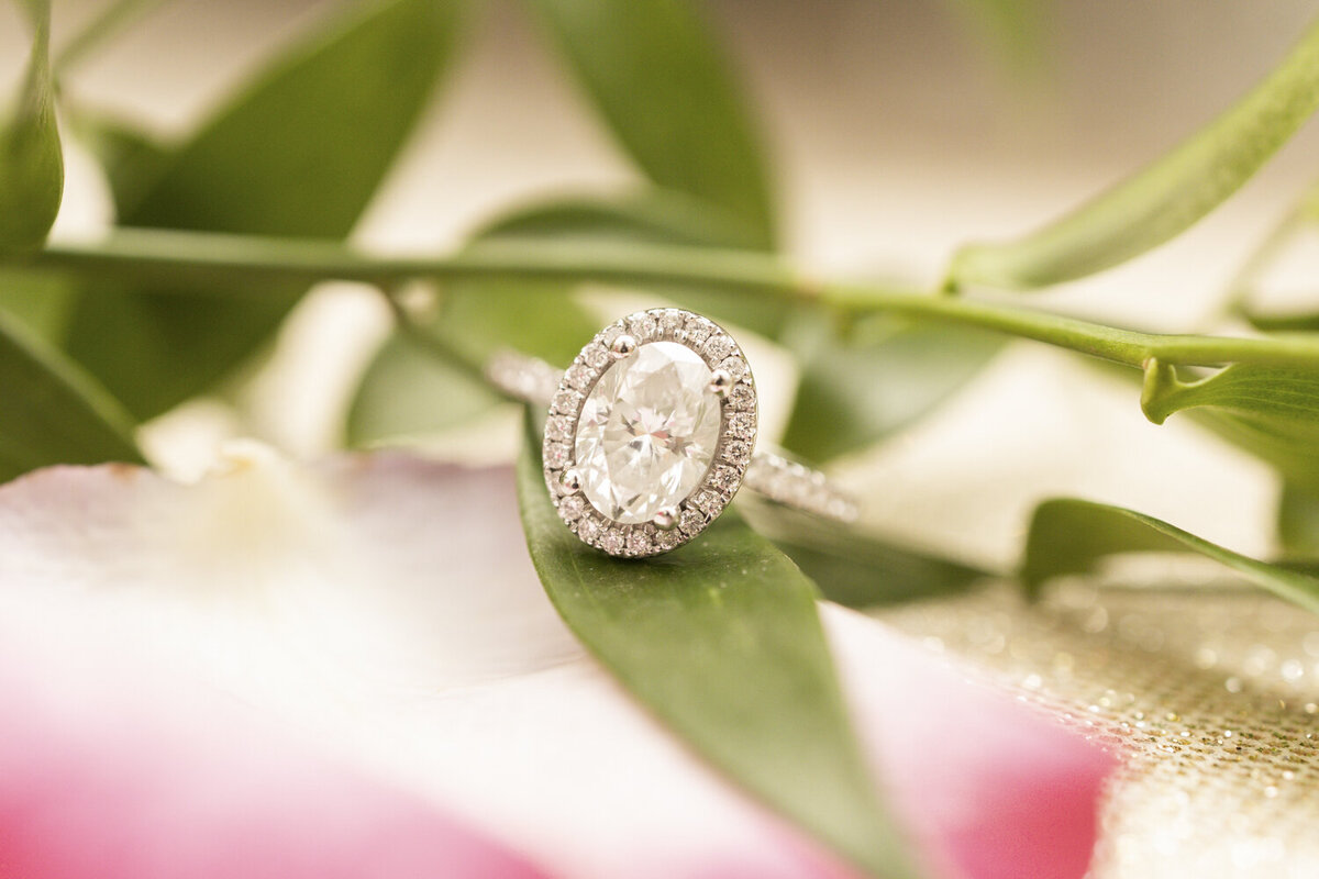 Engagement-Ring-Photography