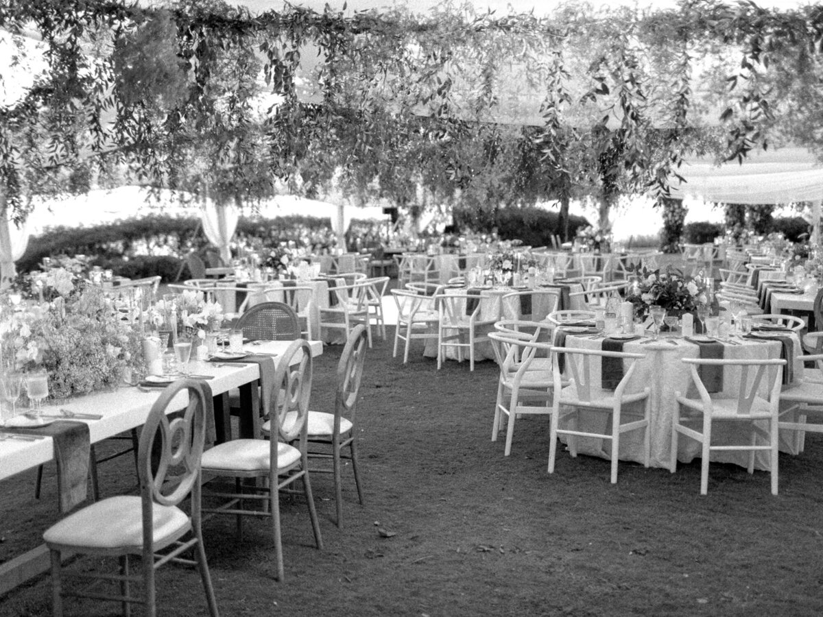 Samantha Aaron Judge Maui Wedding_Lauren Fair0166