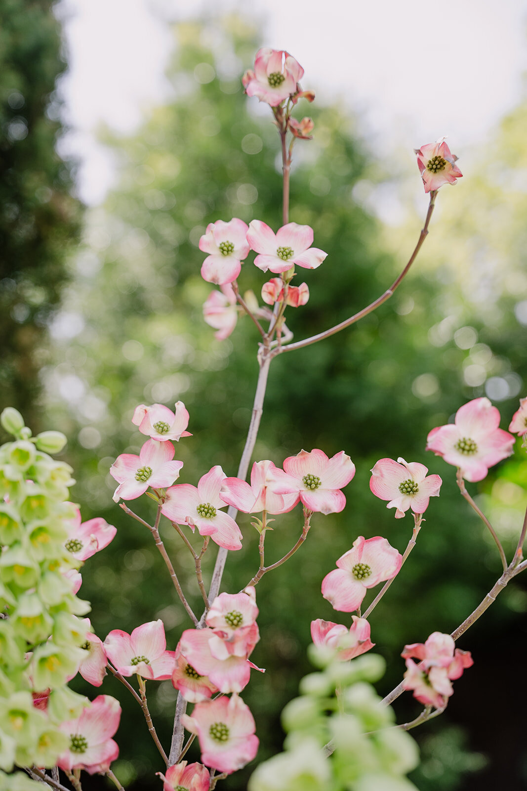 2025eidmubarak_k1_april2025022_websize