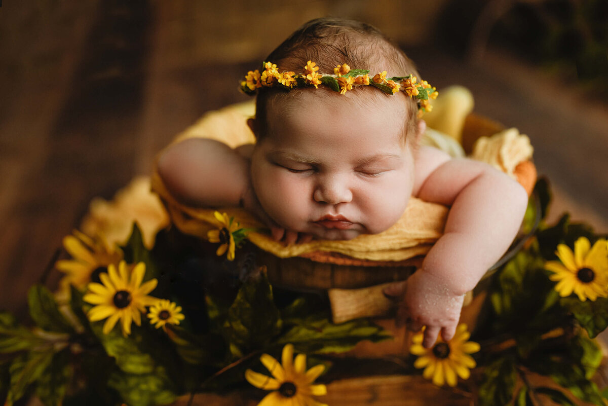 columbus-ohio-newborn-photographer-2