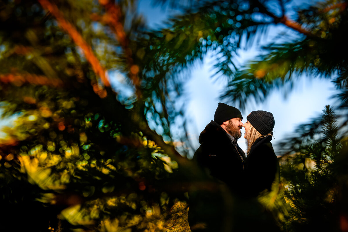 A couple wearing warm hats embrace surrounded by pine branches