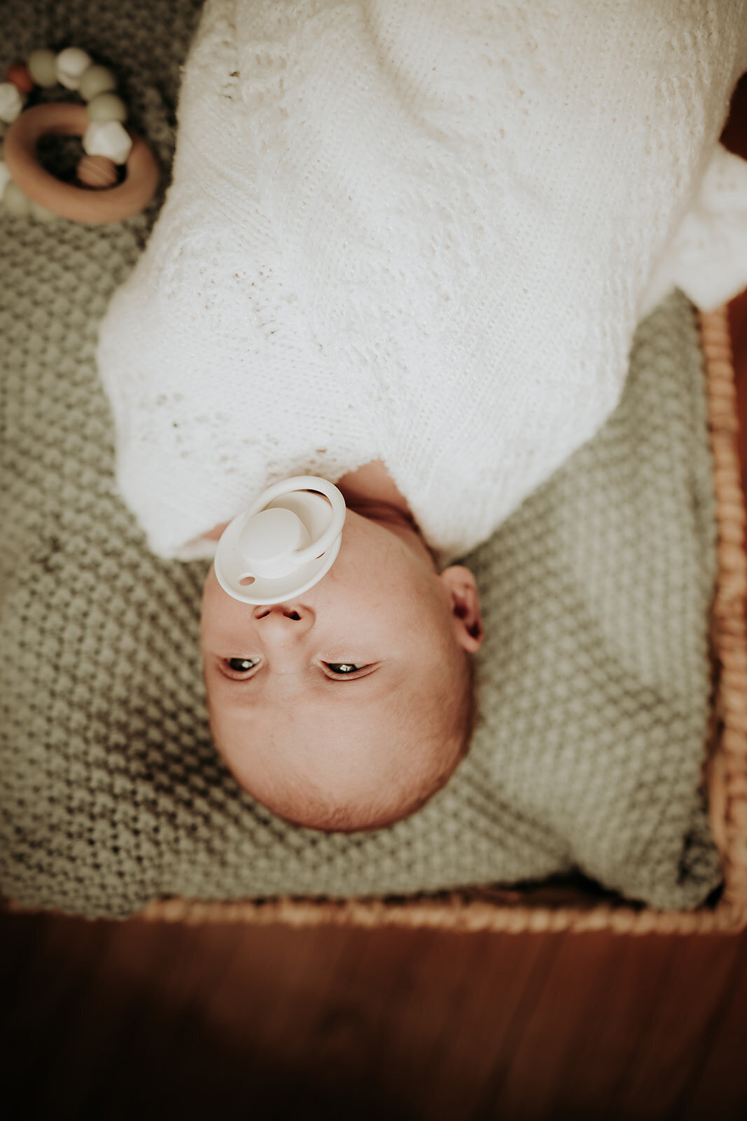 ZettelPhotographyNicole+Cole+Rylynne_DSC_8287