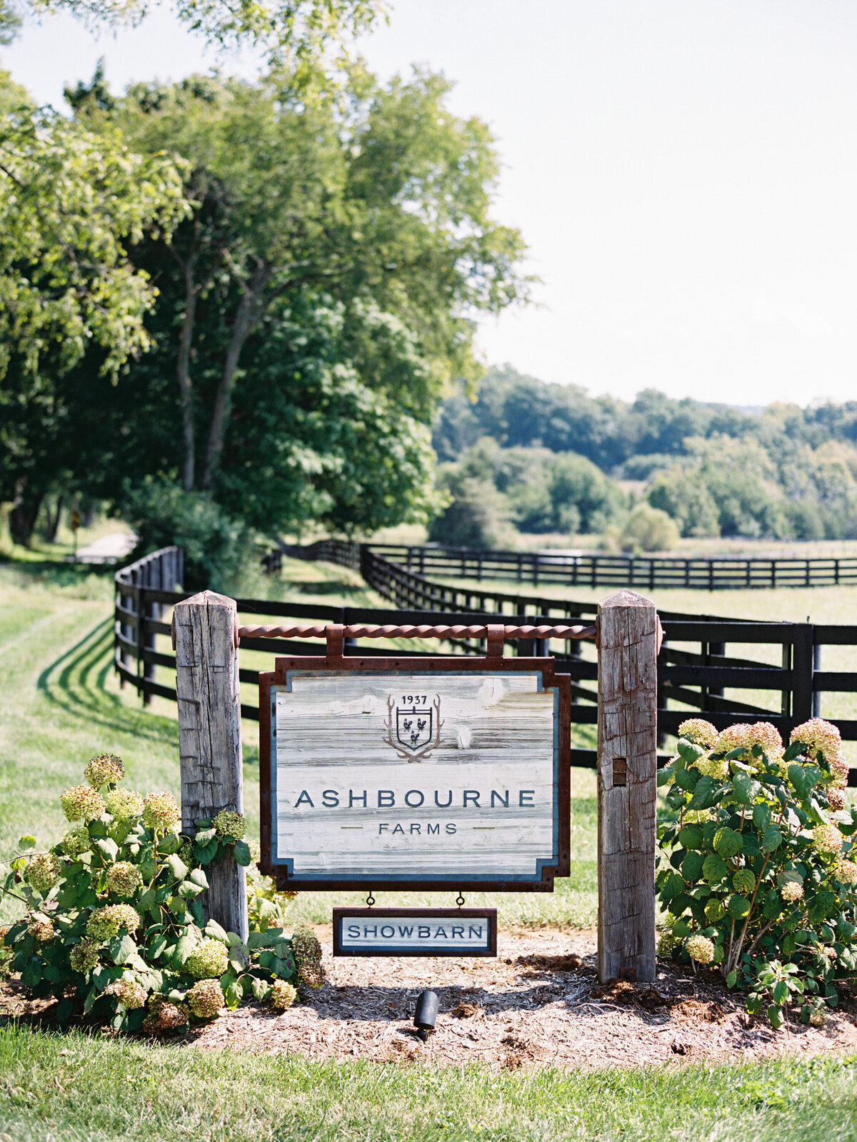 ashbourne-farms-wedding-photographer-11