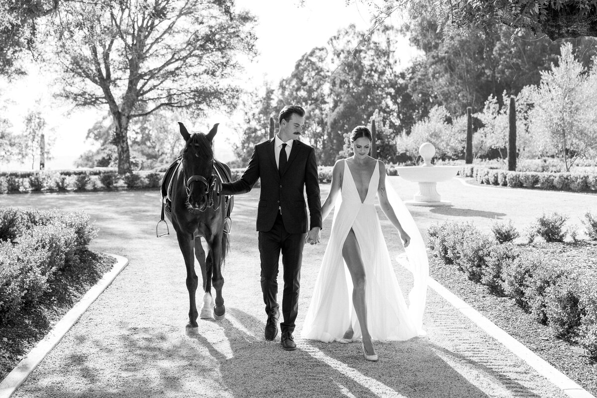 Timeless Wedding Photography in Northern California - Napa - Bir Sur - Lake Tahoe - Carmel Valley - Carlie Statsky Photgraphy -  226