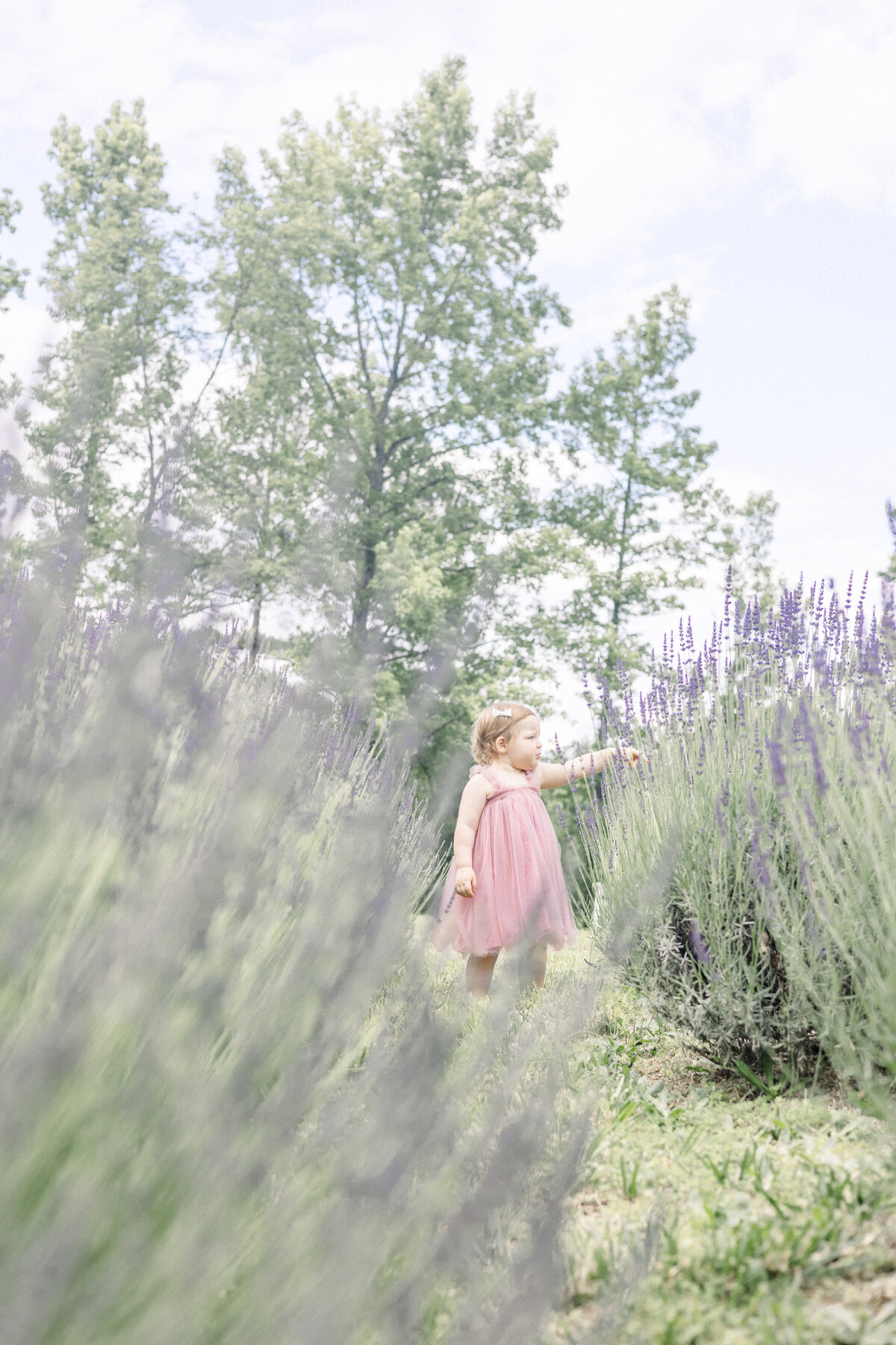 Love Family Lavender Field-2
