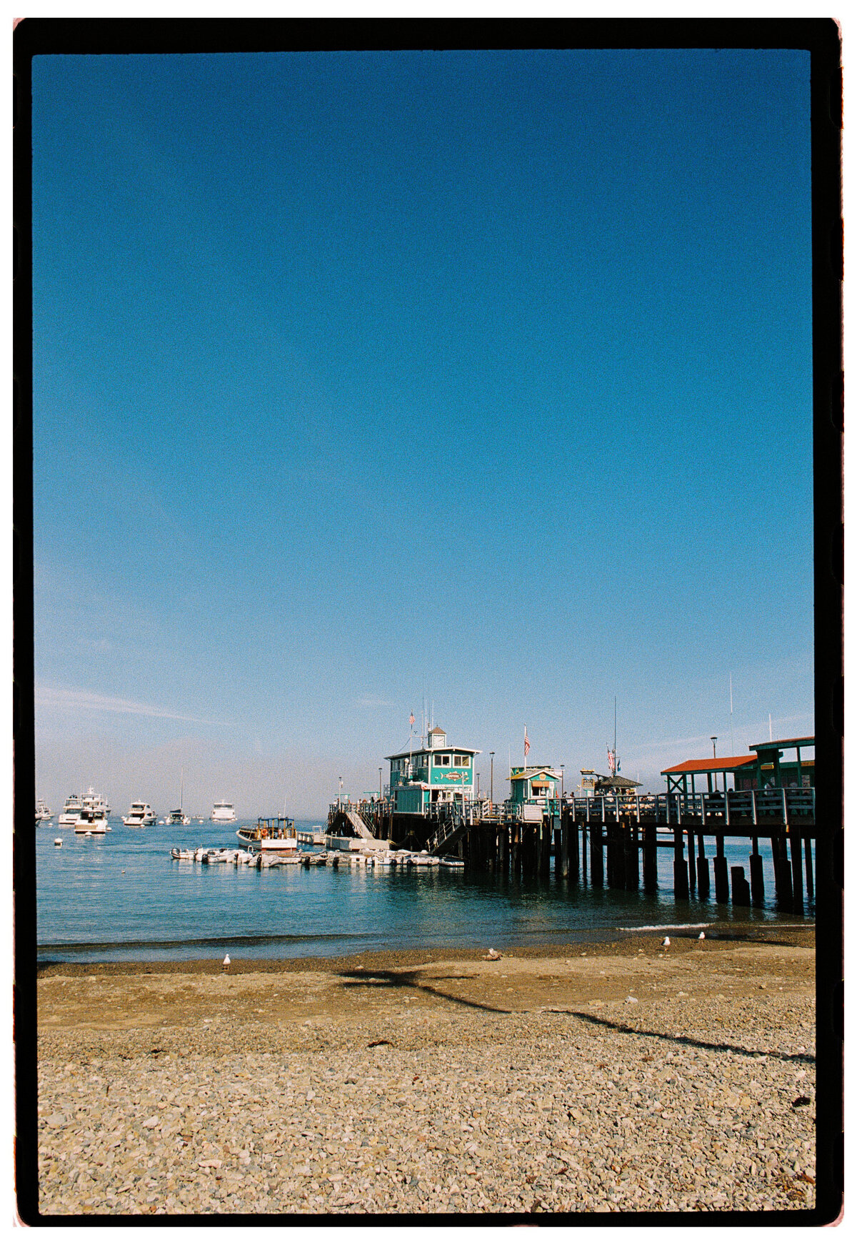 Catalina Island pier captured on film by Kate Winters Photography, showcasing the scenic beauty in an authentic, documentary style.