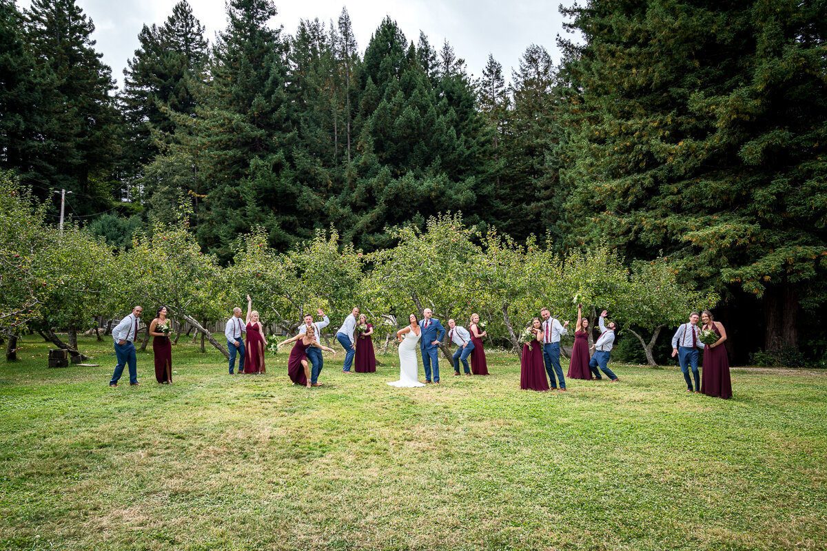 The bridal party strikes playful and dynamic poses by the orchard at Mitchell Grove in Eureka, bringing energy and fun to this stunning wedding setting. Surrounded by lush greenery, this vibrant group photo highlights the joyful camaraderie of the couple’s special day in Northern California. A perfect capture of wedding celebration vibes!