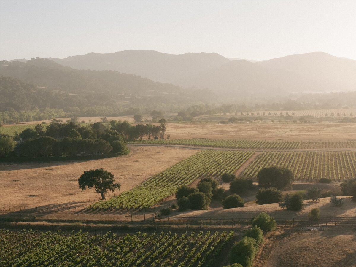 DJI_20250613191040_0004_D