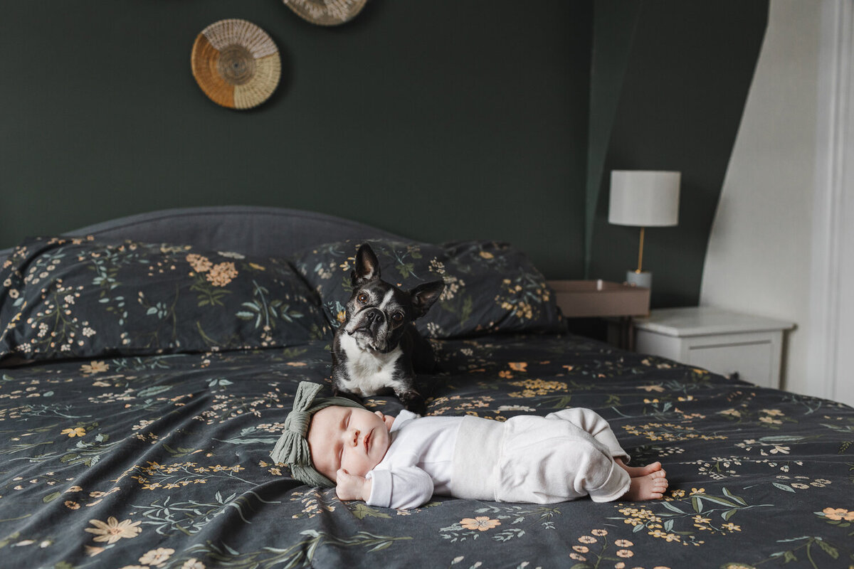 Toronto-Newborn-Photography-in-home-portraits-1