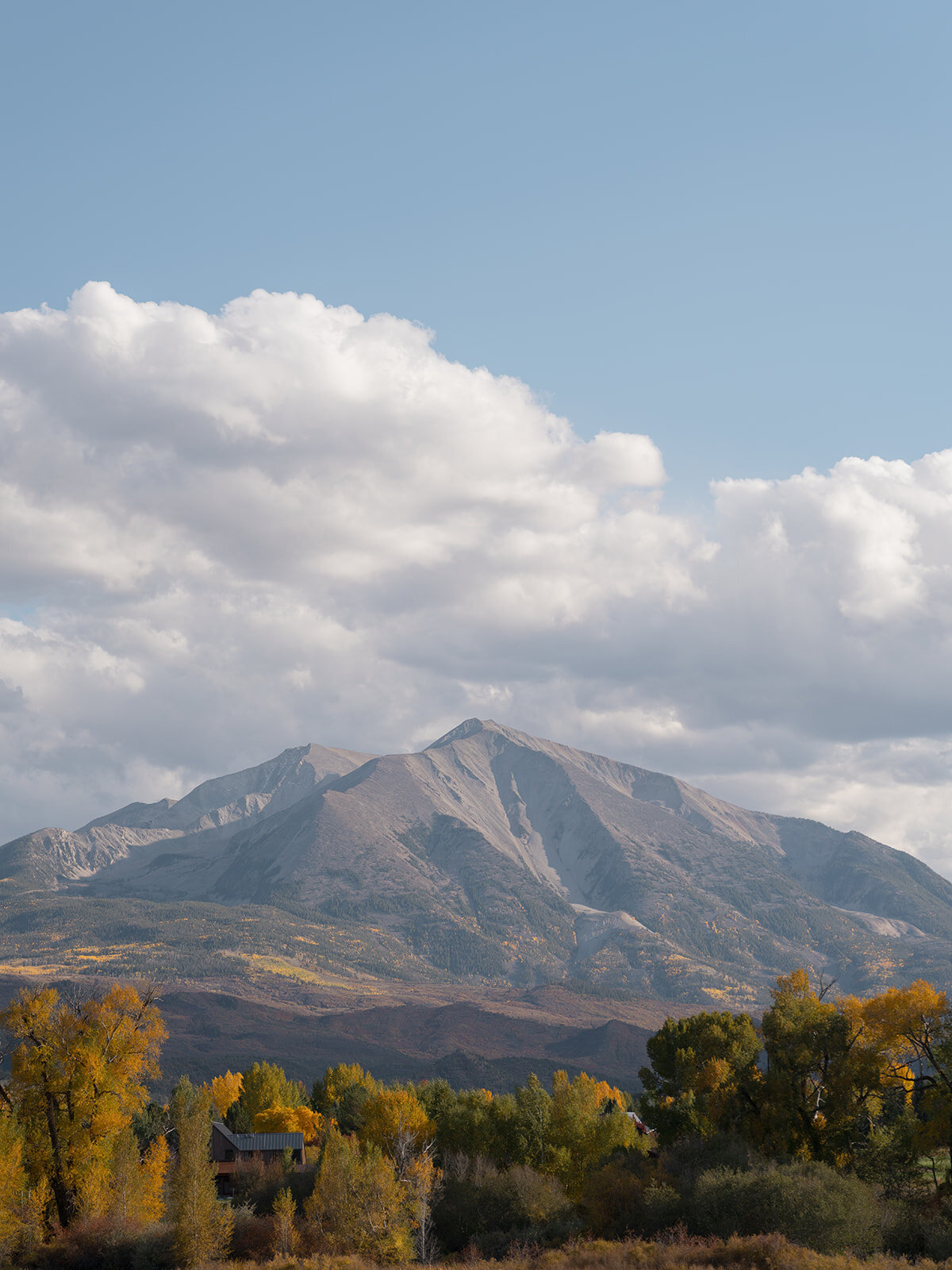 Lauren & Seth Digital Preview-30