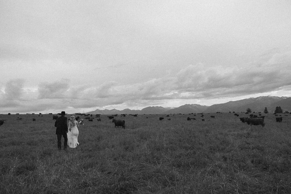 presley-gray-cowboy-luxury-montana-wedding-8924