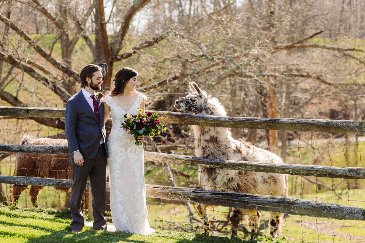 Claxton-Farm-NC-Elopement-25