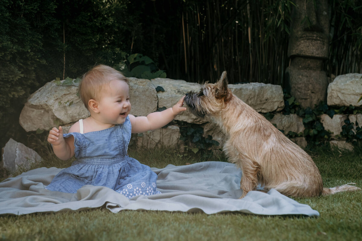 Babygirl laughs while touching a small dogs nose, sitting on a blanket.