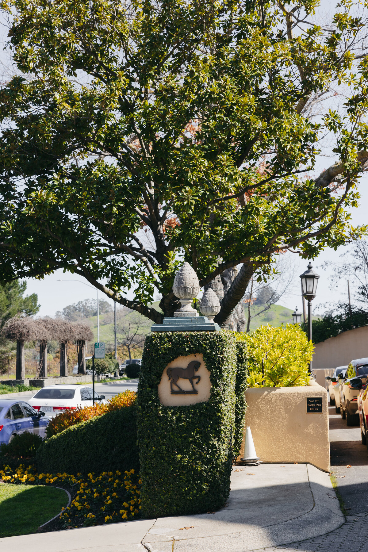 editorial-california-wedding-photographer-cacie-carroll-photography-10