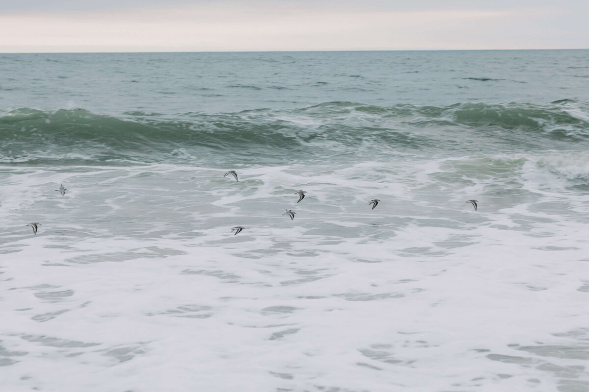 Westhampton_Engagement_012