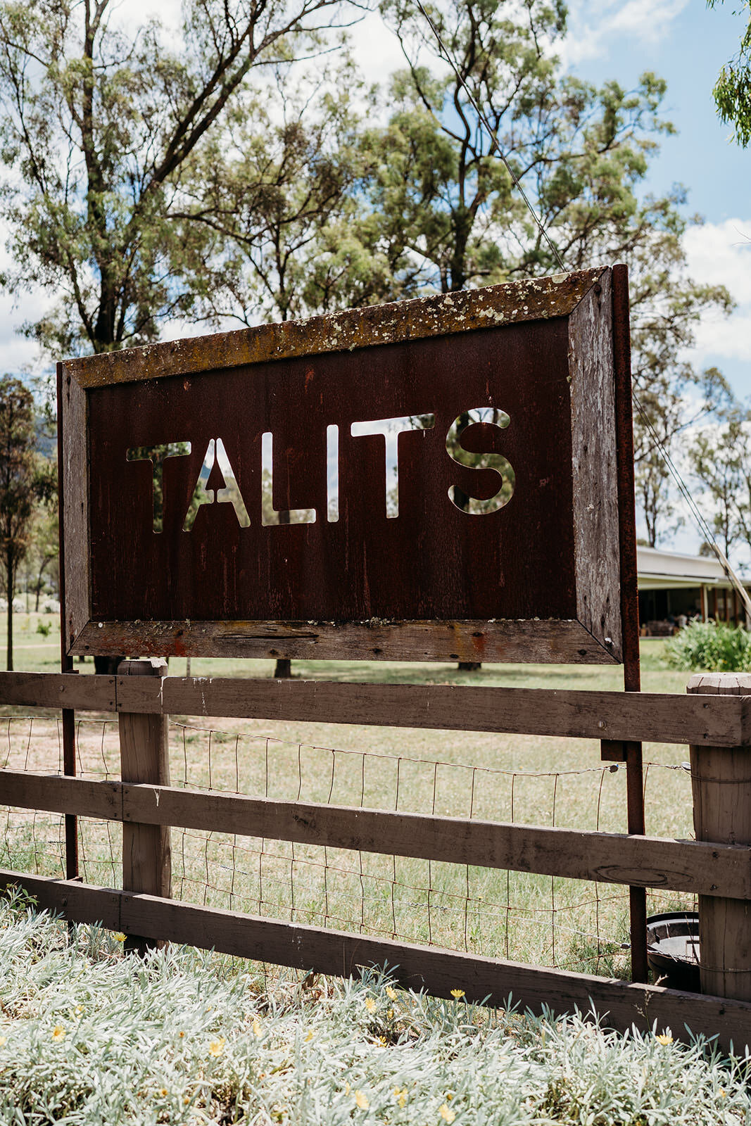 Margan_Photography_Tallits_Estate_Hunter_Valley-1