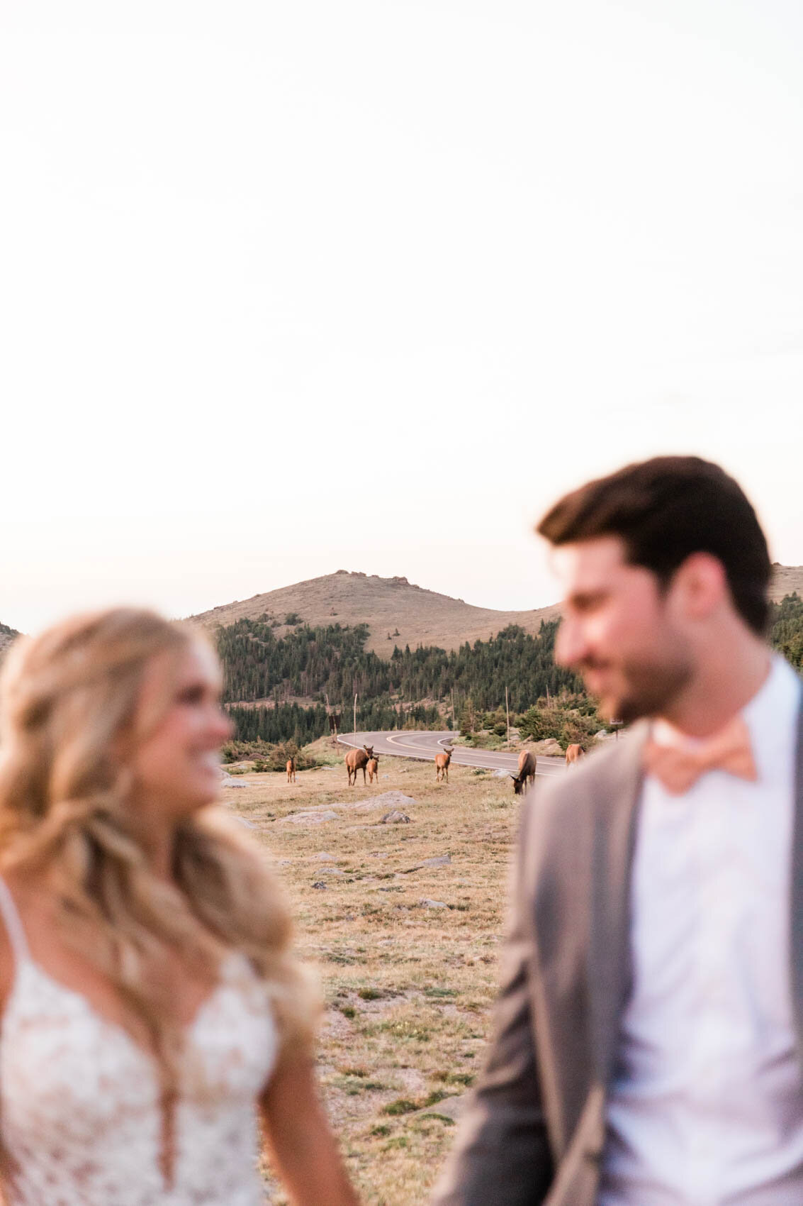 rocky_mountain_national_park_trail_ridge_road_summer_sunrise_elopement_by_colorado_wedding_photographer_diana_coulter-5