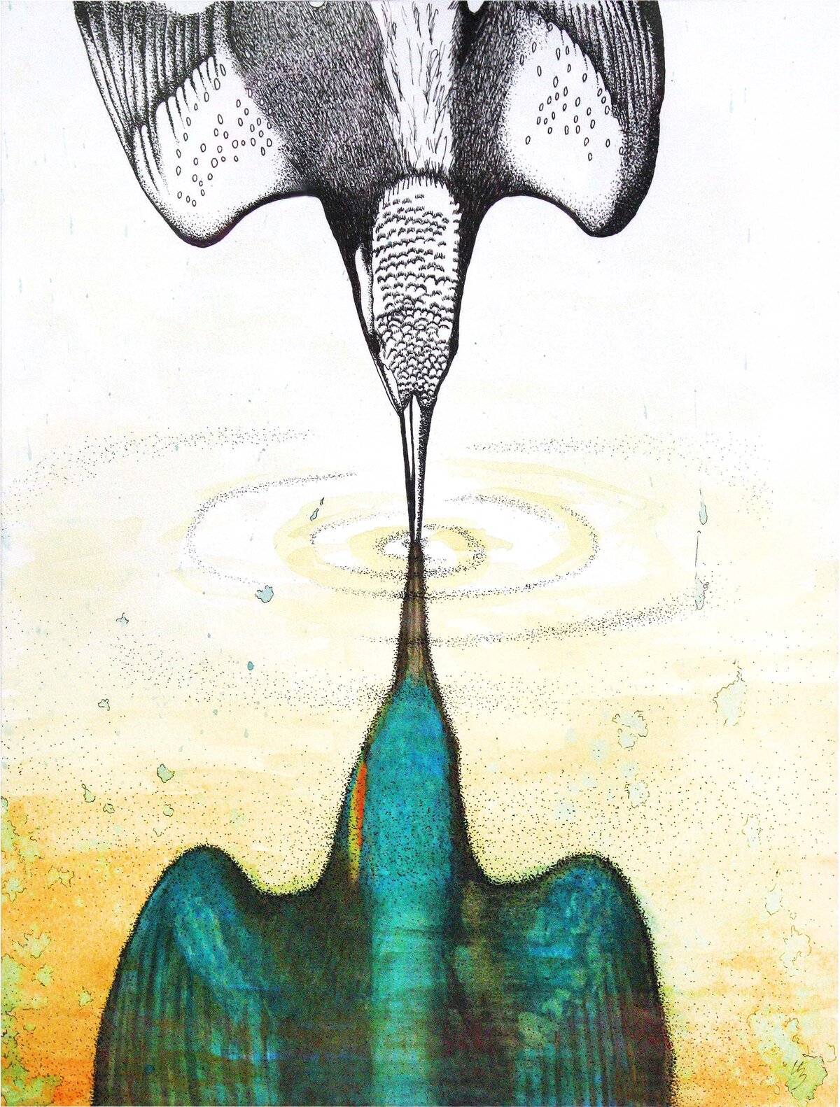 CCC_Murmure_Halcyoninae