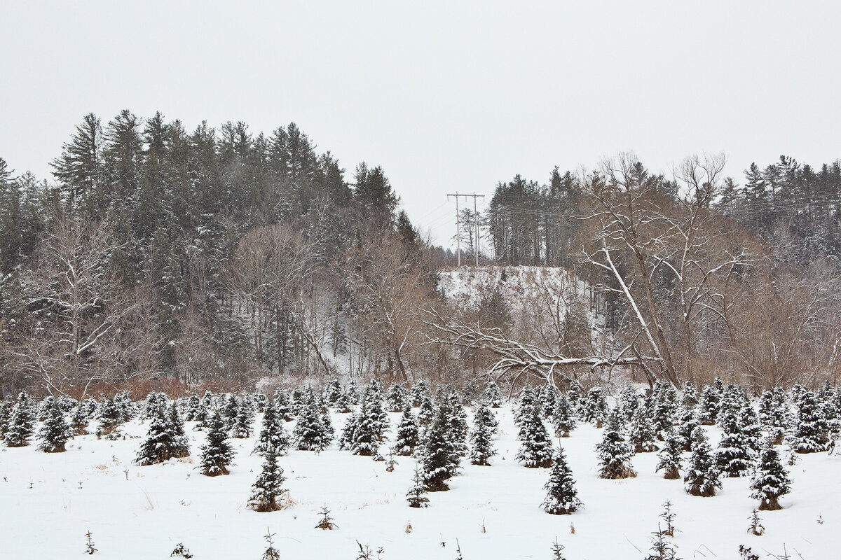 20131230_PROJECT_0124_01
