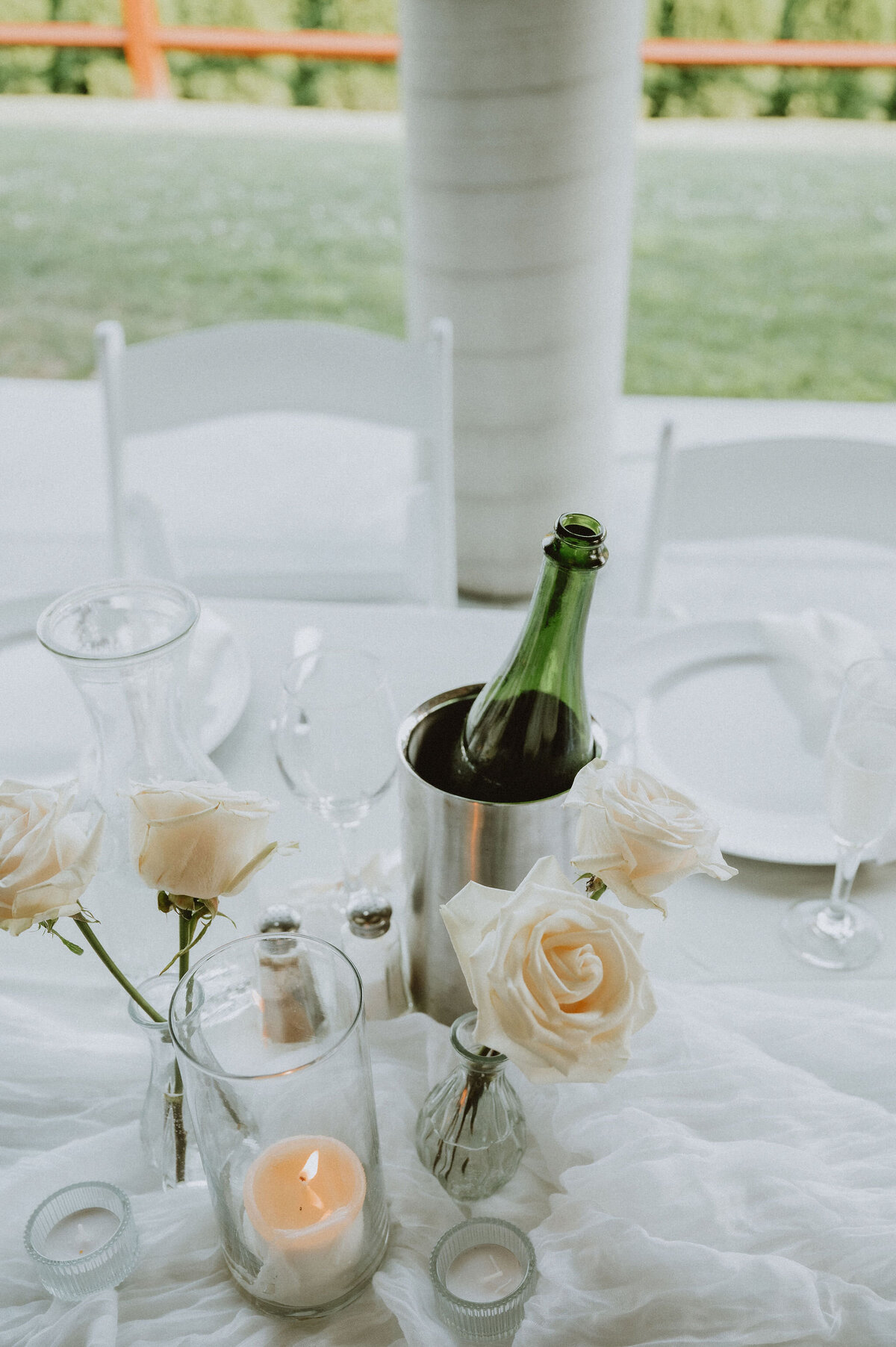 CarleeWiensPhotography-1263