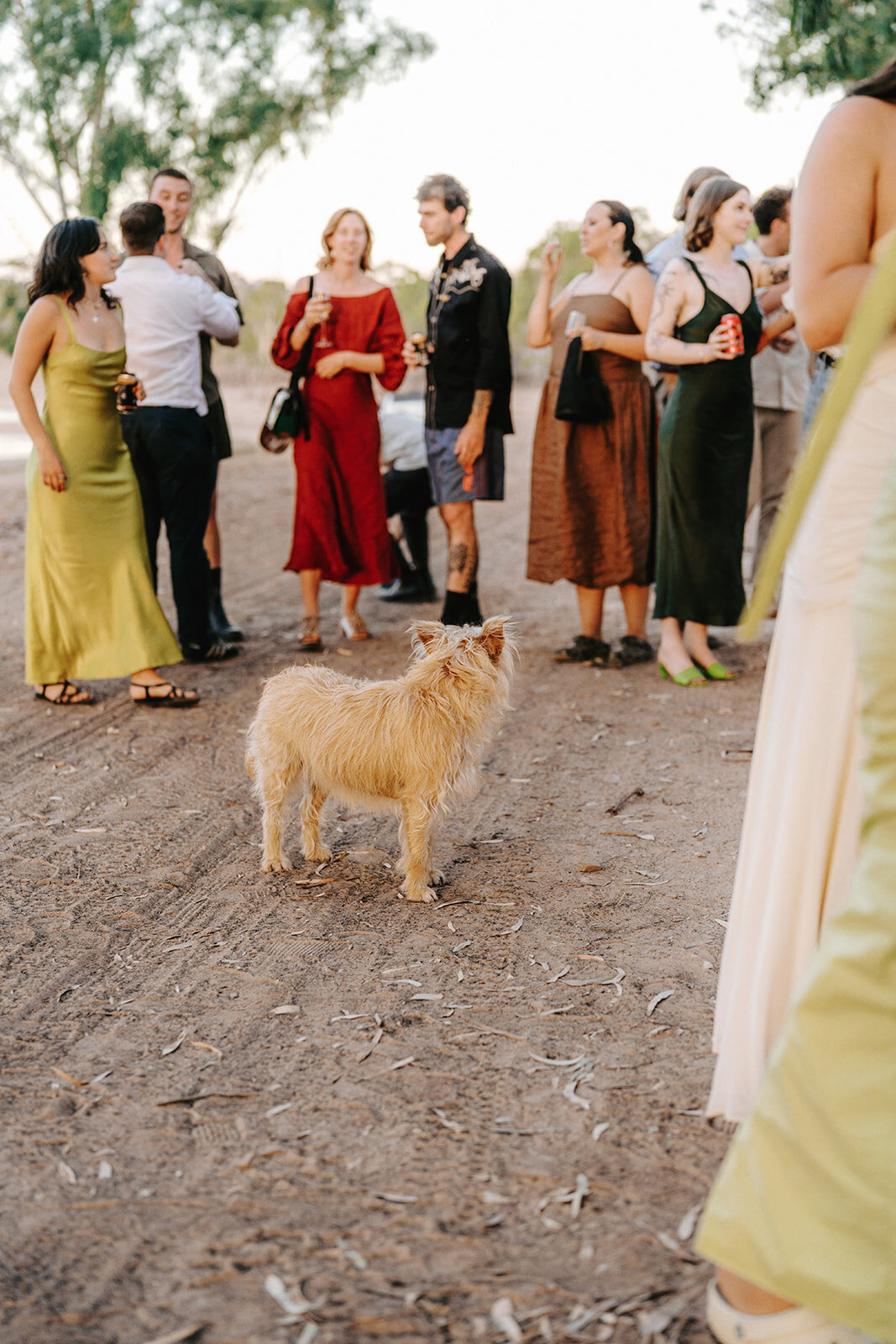 nicky-james-burnt-creek-wedding-0991
