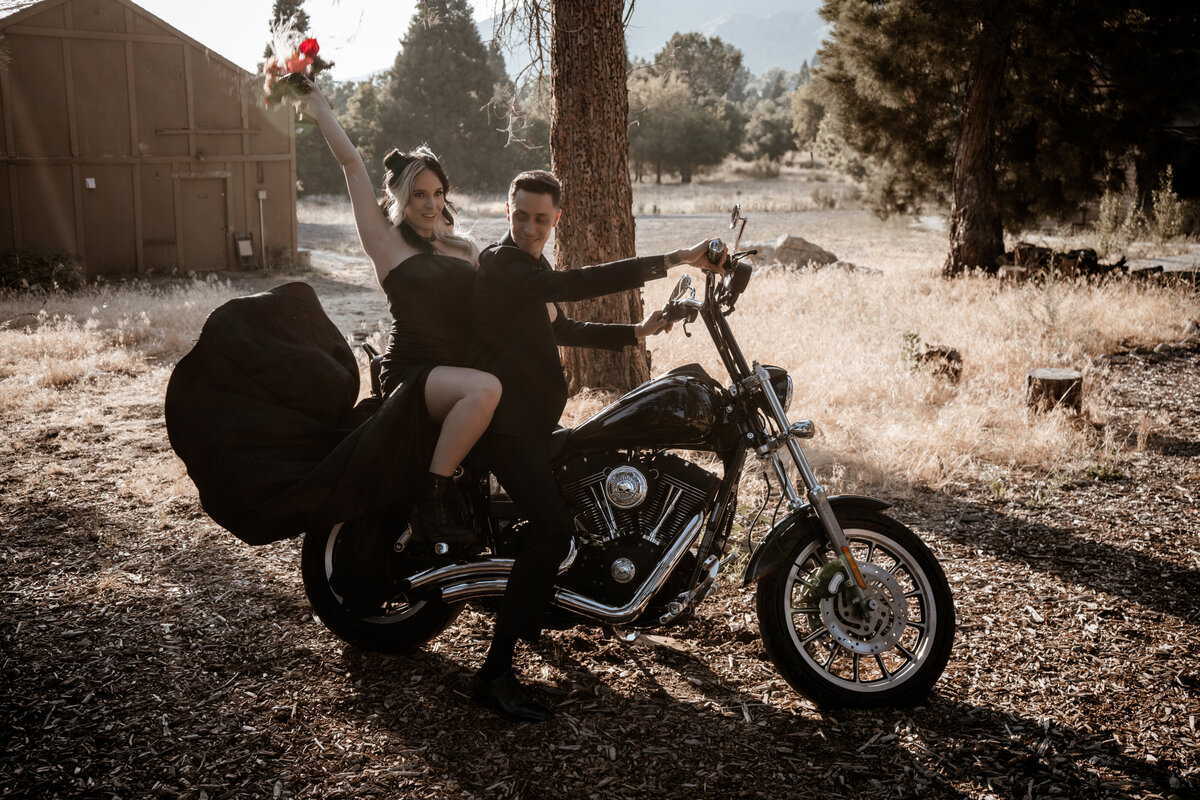 Bride and groom in the mountains of Oak Glen California on the back of a Harley Davidson motorcycle wearing their goth attire