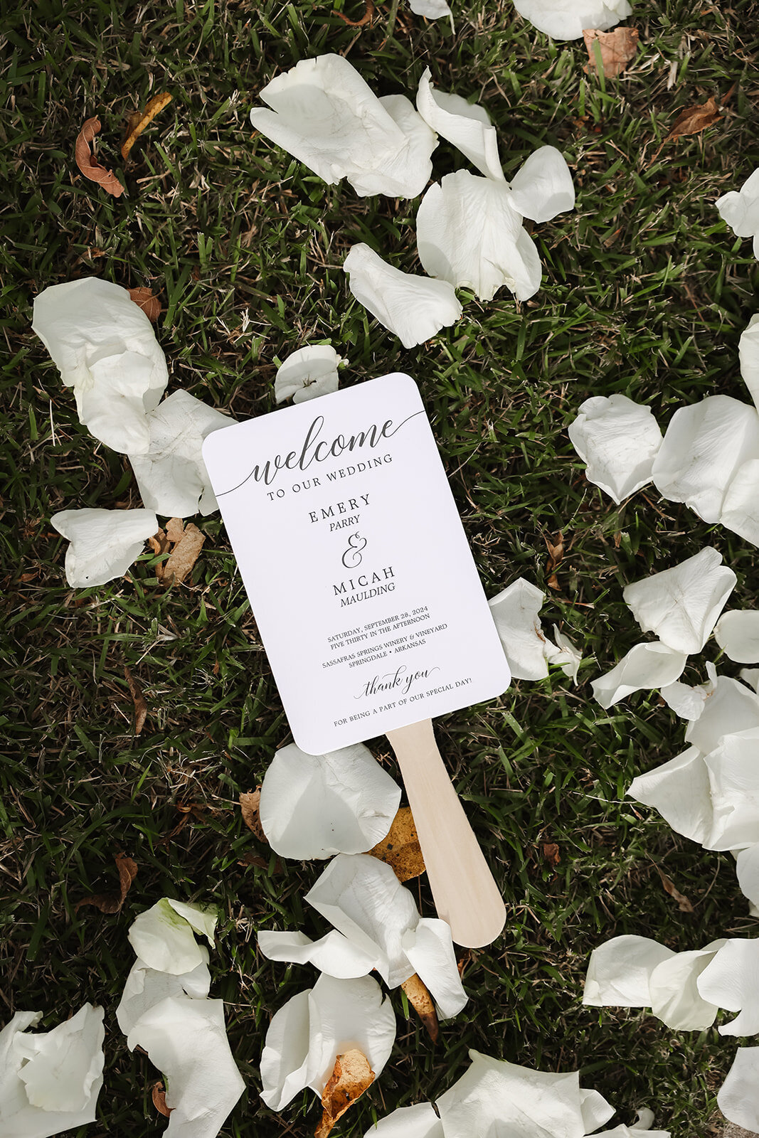 Wedding Planner Arkansas3141