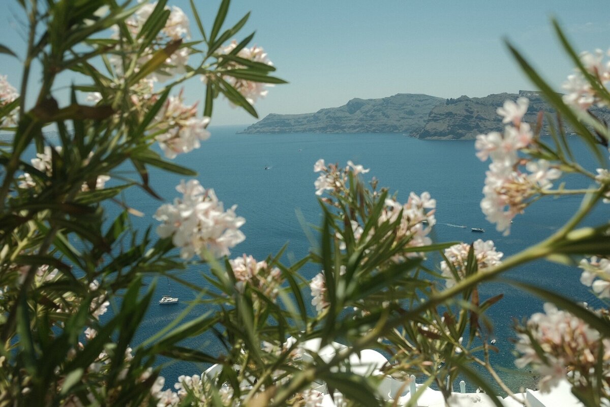 6A634481-6250-4964-B218-7C96BD003095-17577-0000073C02F1D905