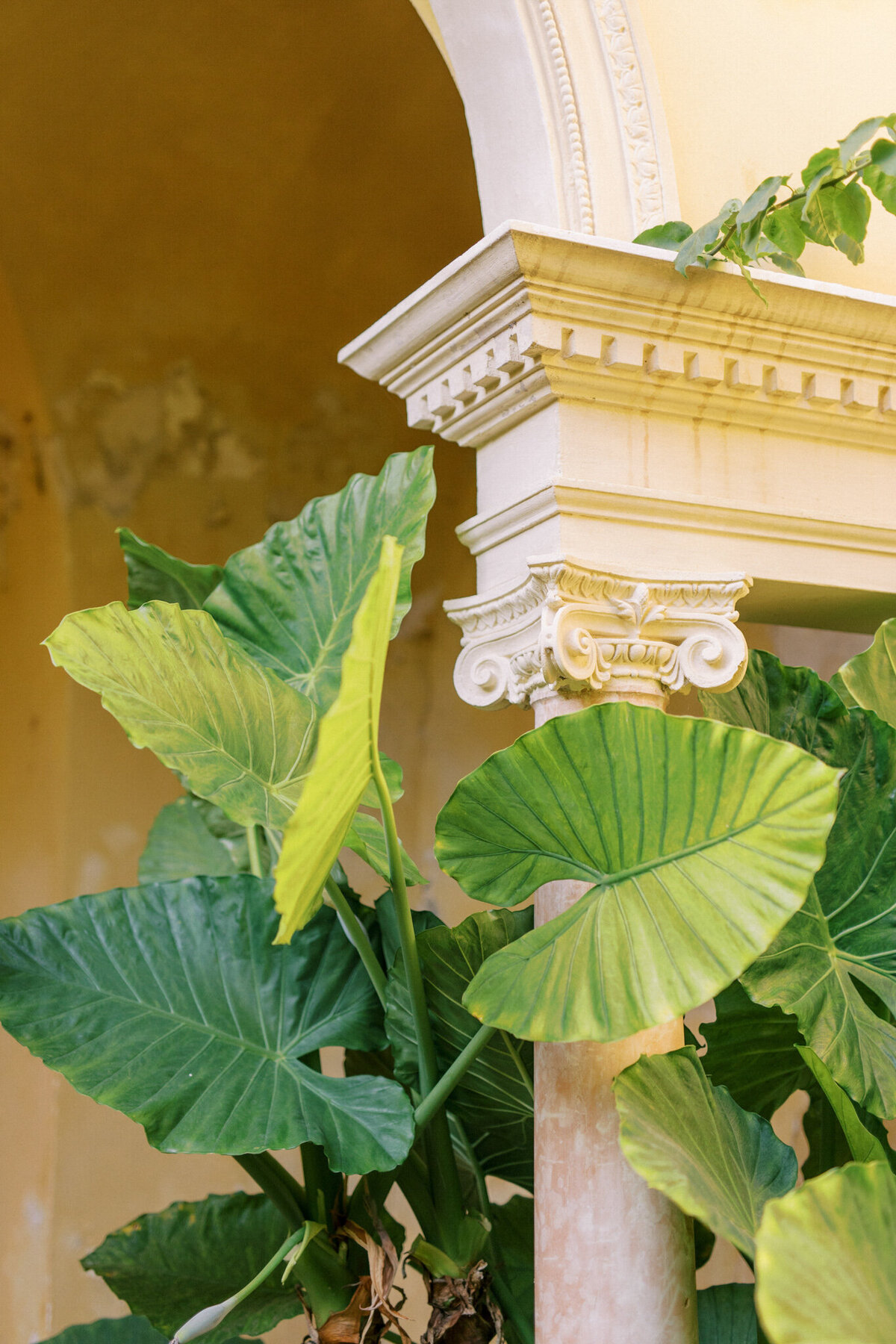 mailys-fortune-photography-wedding-photographer-french-riviera-villa-ephrussi-rothschild-63