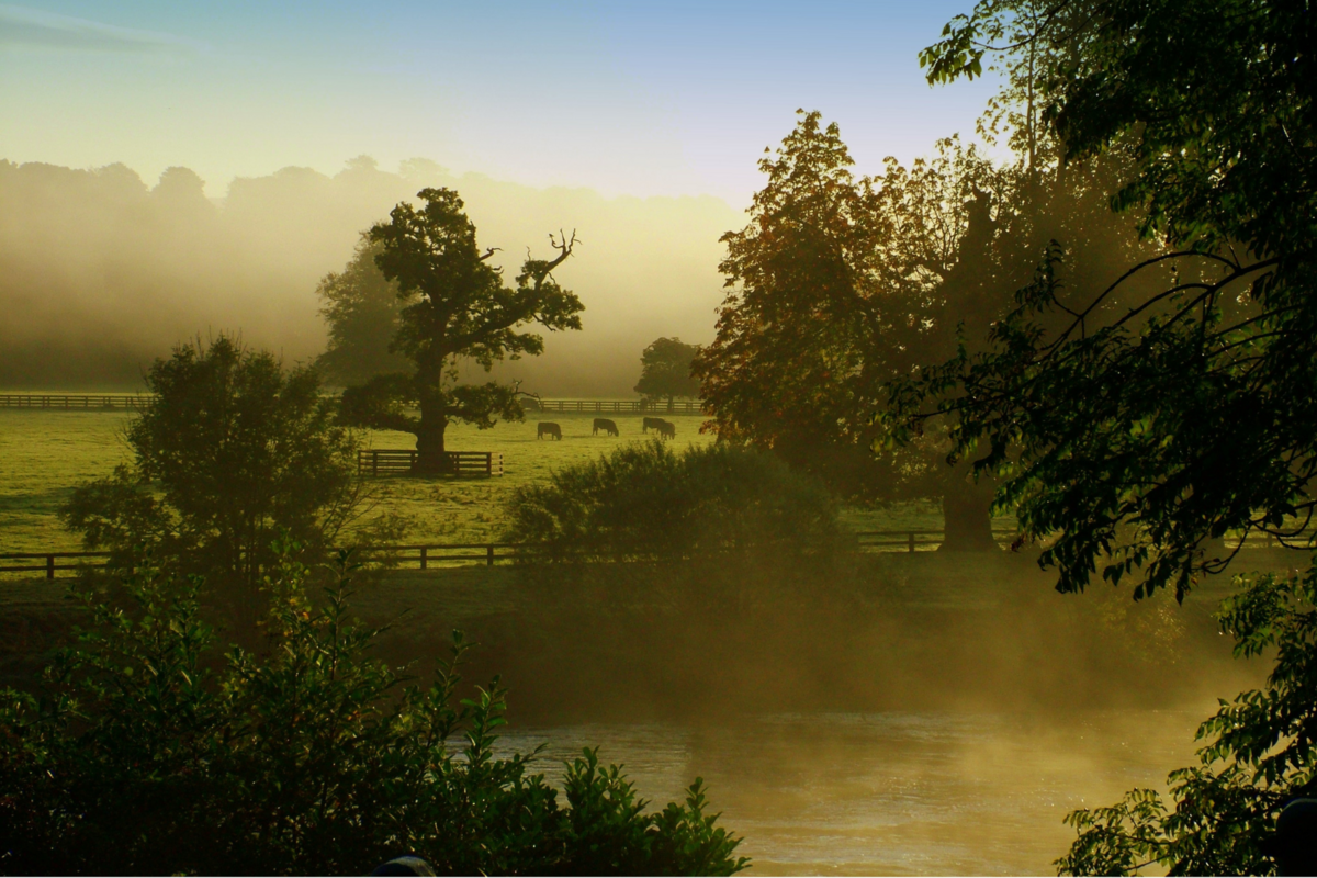 Mount Juliet Estate (19)