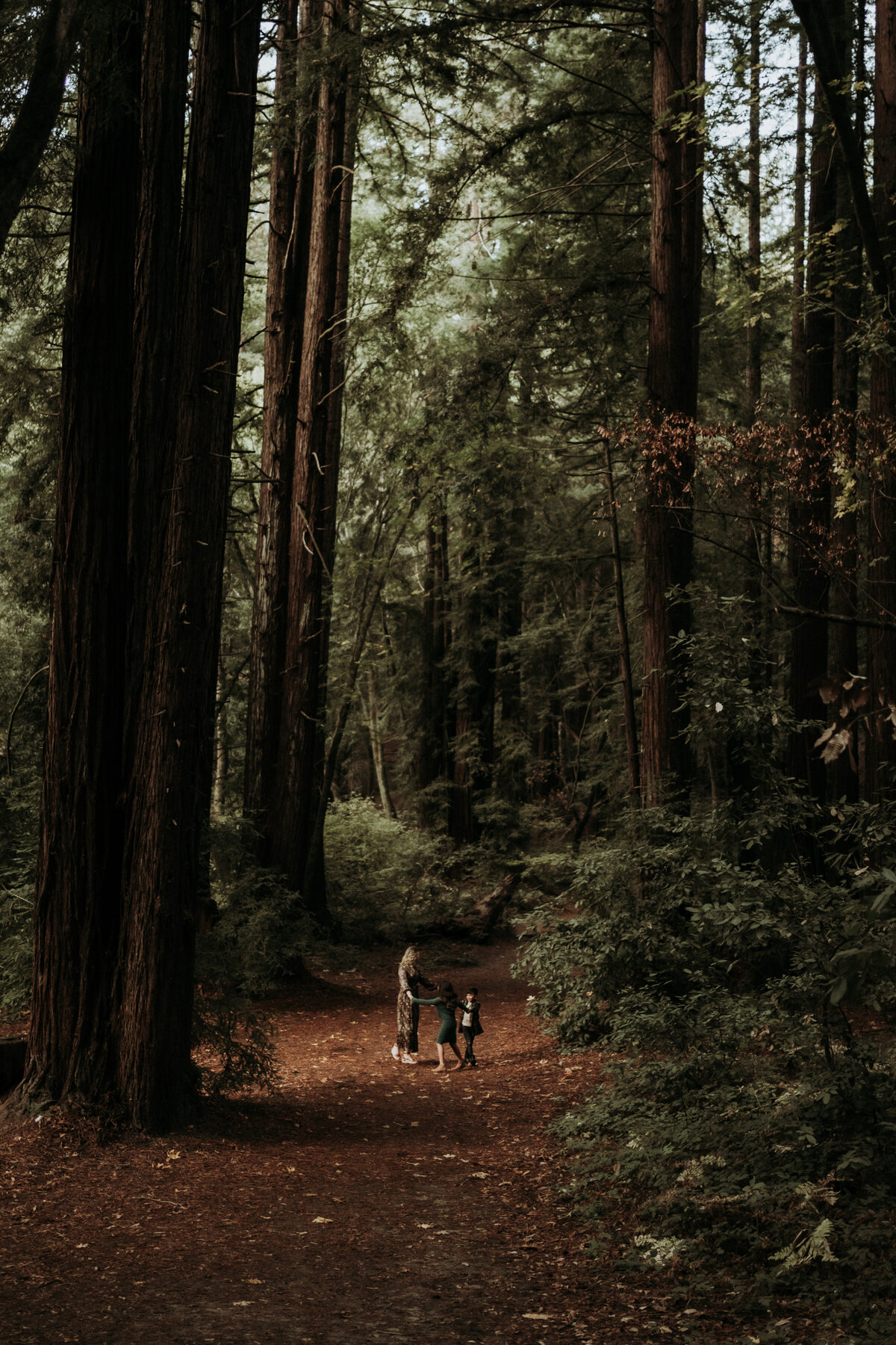 Felton-Redwoods-Family-Photographer-51