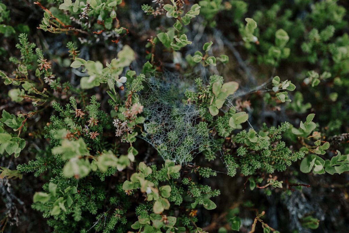 Rachel_Andrew_2025-339