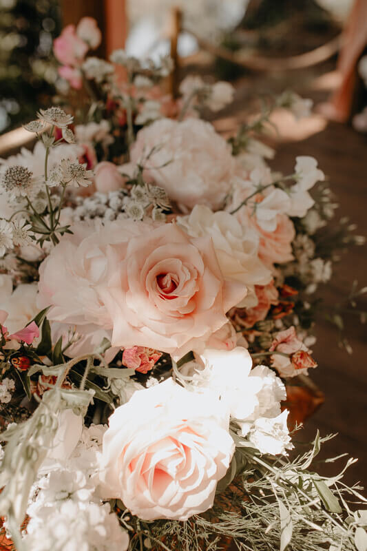 Flower close up