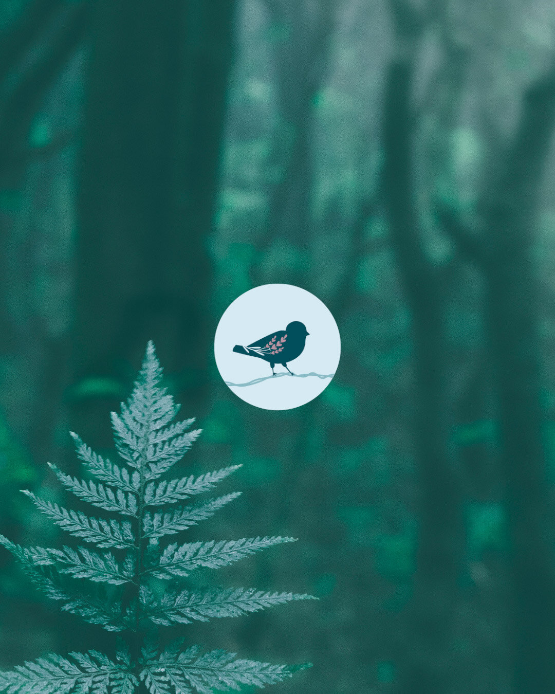 baer-brand-studio-bird-on-a-wire-submark-signature-package