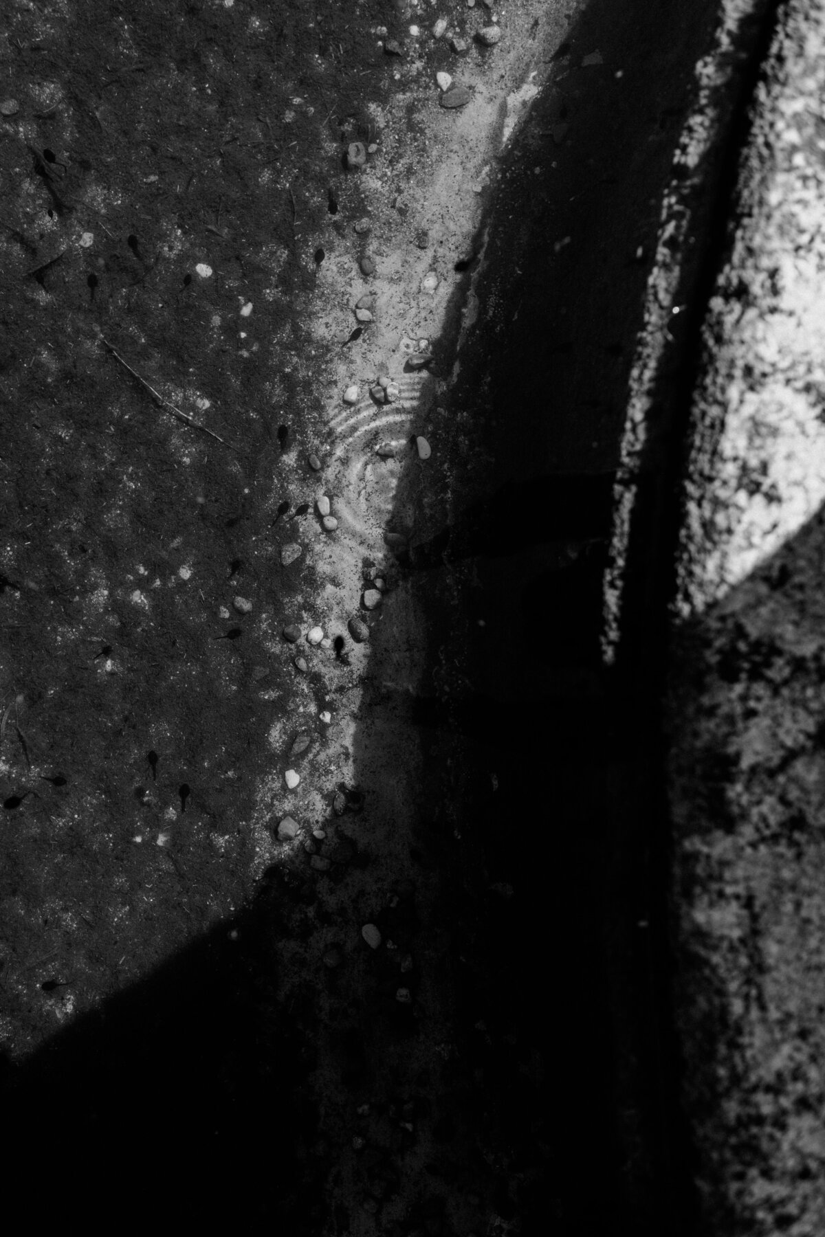 Detail shots in italy