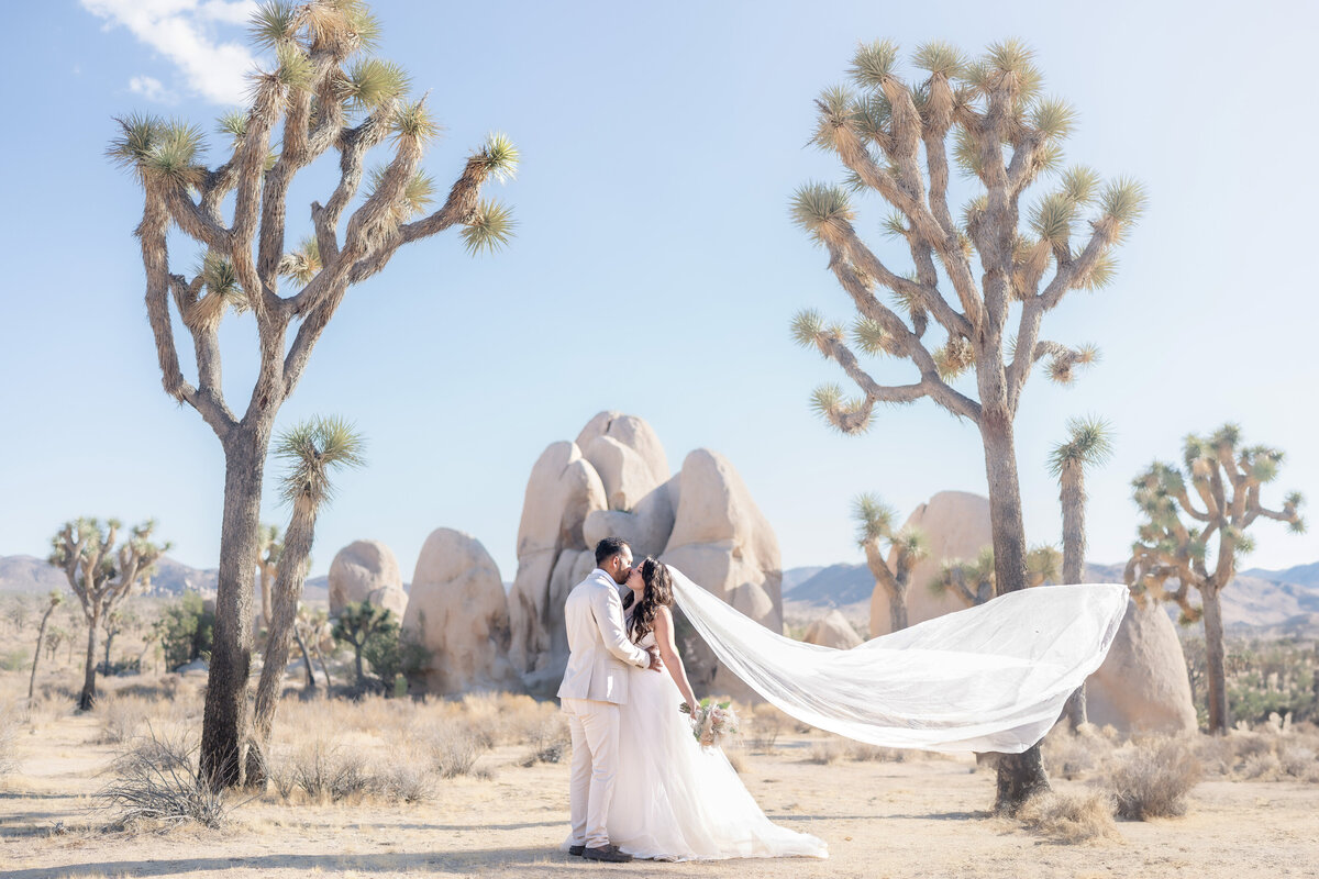 Joshua Tree elopement with bride and groom at Hidden Valley kissing with long veil shot.
