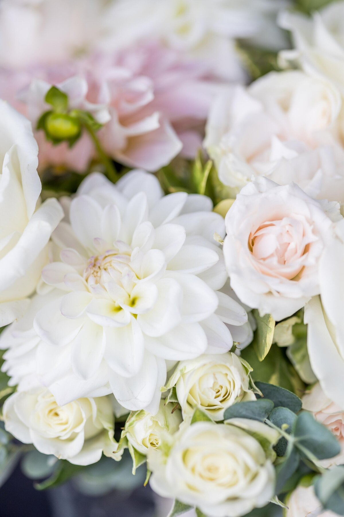 boston area wedding photographer
