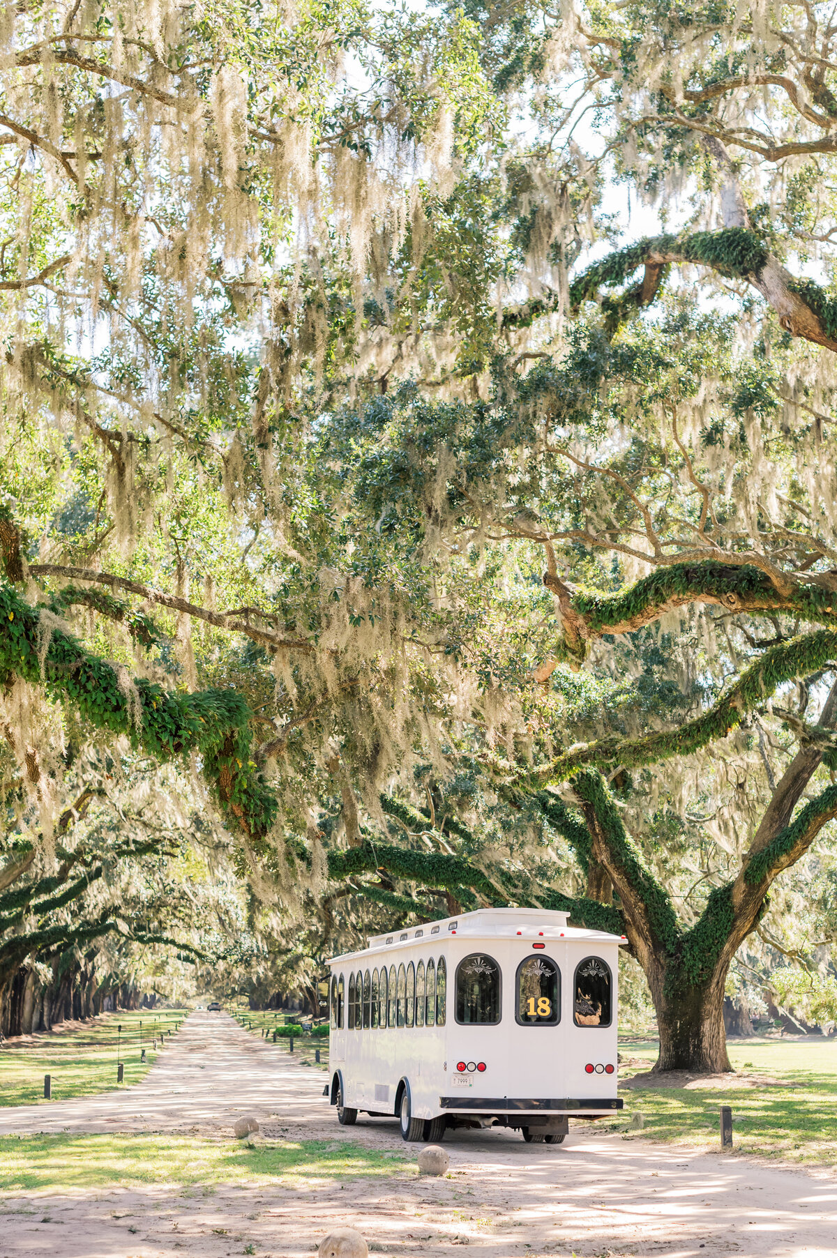 Charleston_wedding_boone_hall_jodigray-5