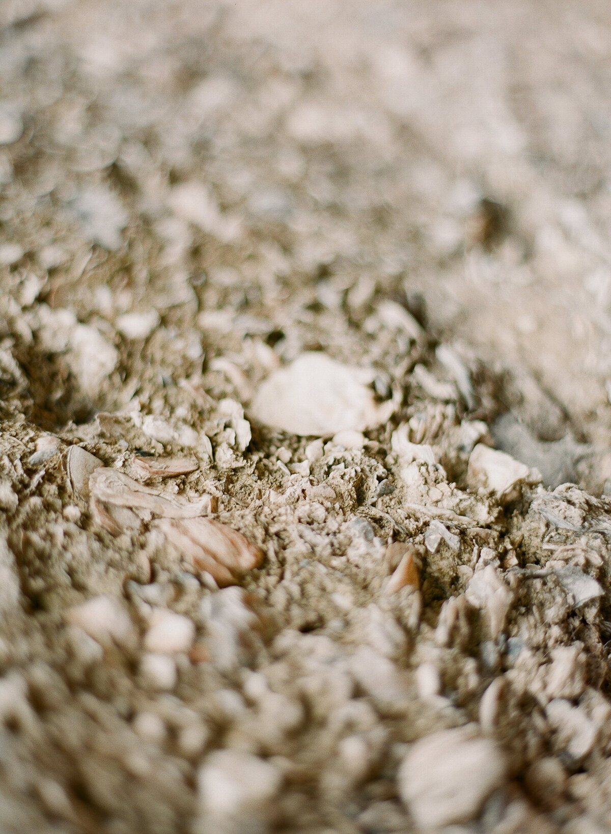 TravelWeddingPhotographer-Sea-Island-Georgia-138
